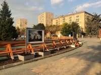 прекрасная фотовыставка на основе уличных информационных стендов в Московском Зоопарке