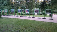 наши уличные информационные стенды прекрасно вписались в парковую зелень в Сокольниках